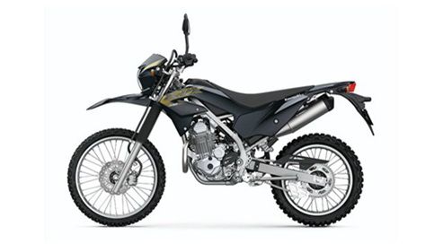 2021 Kawasaki KLX 230 R Warna 002