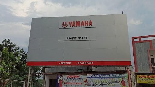 Yamaha Profit Motor-01