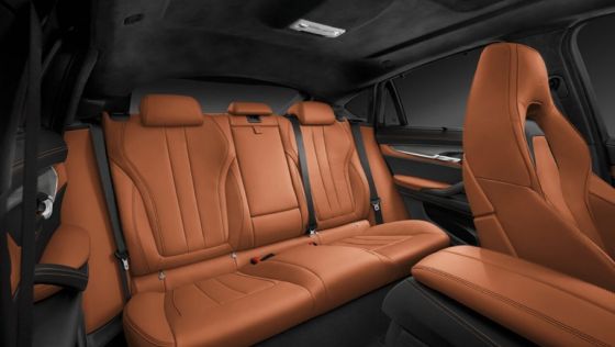 BMW X6 2019 Interior 006