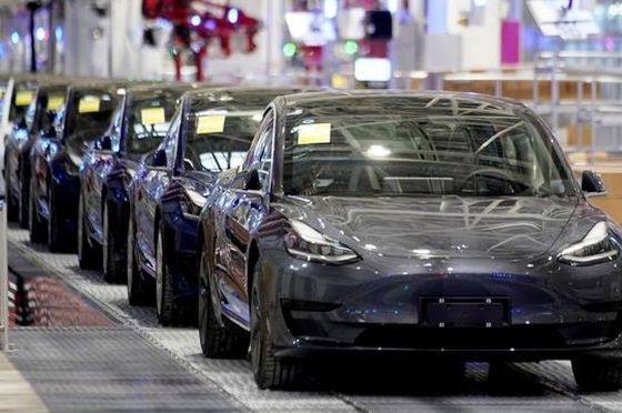Tantang BYD, Tesla Pastikan Asia Tenggara Jadi Pasar Potensial Mobil Listrik. Termasuk Indonesia?